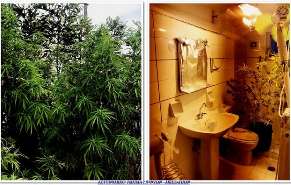 ΨΑΧΝΑ ΕΥΒΟΙΑΣ: Έκανε την τουαλέτα του σπιτιού του θερμοκήπιο για χασισόδενδρο