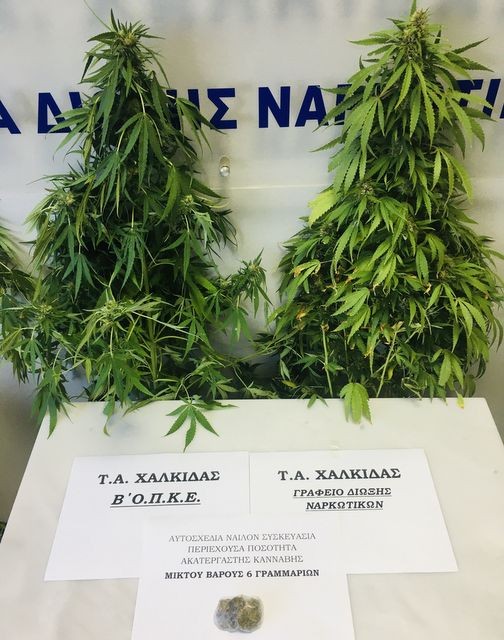 ΕΡΕΤΡΙΑ: Συνελήφθη ένας άντρας για κατοχή και καλλιέργεια ναρκωτικών