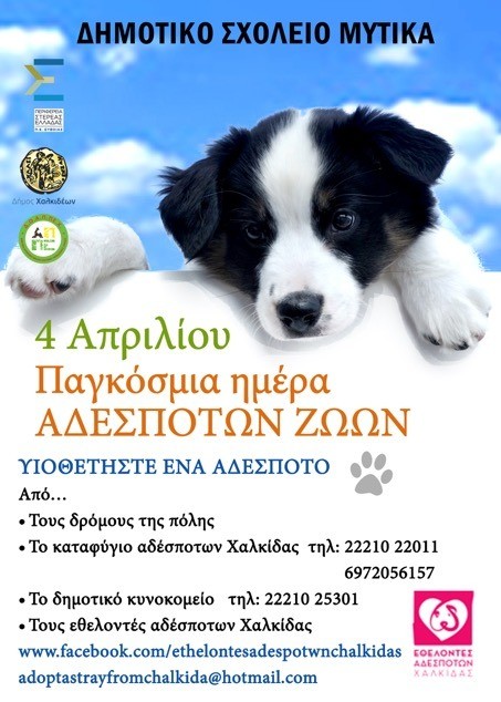 Εκστρατεία για τα αδέσποτα ζώα από τους μαθητές του Δημοτικού Σχολείου Μύτικα