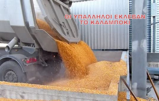 Δύο υπάλληλοι έκλεψαν 85 τόνους καλαμπόκι από την επιχείρηση που δούλευαν