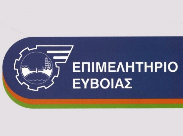 ΕΠΙΜΕΛΗΤΗΡΙΟ ΕΥΒΟΙΑΣ: Πραγματοποιήθηκε διαδικτυακό σεμινάριο για το φόρο εισοδήματος