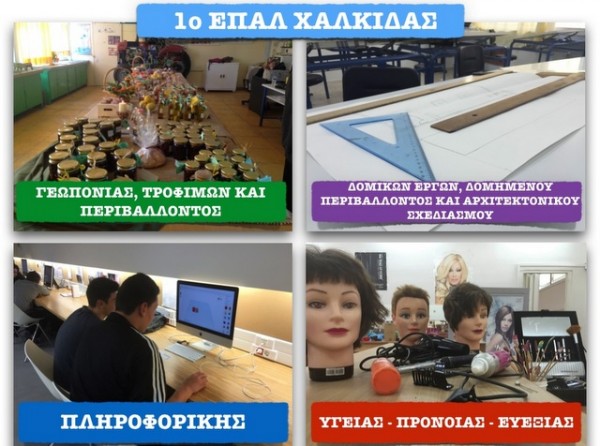 Αρχίζουν οι εγγραφές μαθητών στο 1ο ΕΠΑΛ Χαλκίδας