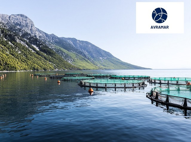 AVRAMAR: Το Σωματείο Εργαζομένων ζητάει να επισκευαστούν οι δρόμοι που οδηγούν στις εγκαταστάσεις της εταιρείας