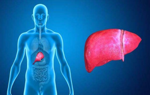 Αυτές είναι οι τροφές που καθαρίζουν το συκώτι