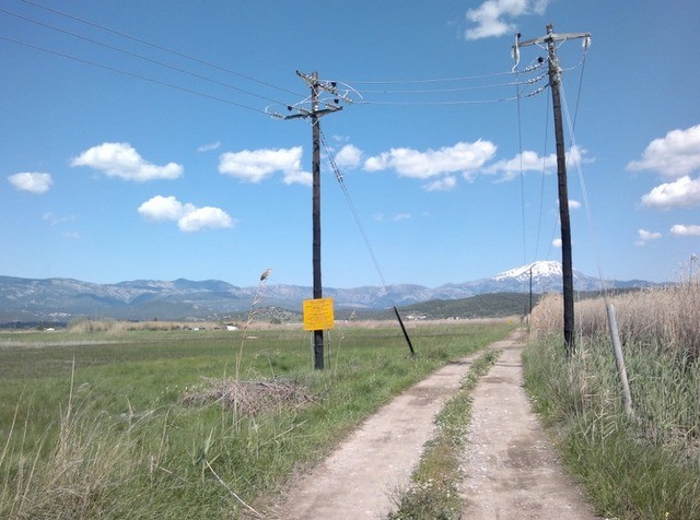 ΚΑΤΑΓΓΕΛΙΑ: «Επιδοτούν» την καταστροφή του Κολοβρέχτη