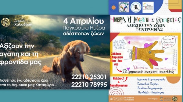 ΧΑΛΚΙΔΑ: Δράση υιοθεσίας αδέσποτων ζώων στο προαύλιο του 13ου Δημοτικού σχολείου Χαλκίδας