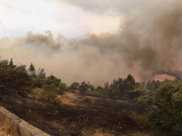 Συνεχίζεται η φωτιά στην Κάρυστο παρά τις προσπάθειες πυροσβεστών και εθελοντών