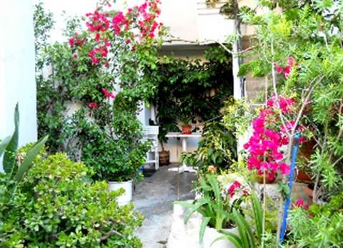 Σε ... ανθισμένο σπίτι η Ομάδα Αλληλεγγύης Αλιβερίου