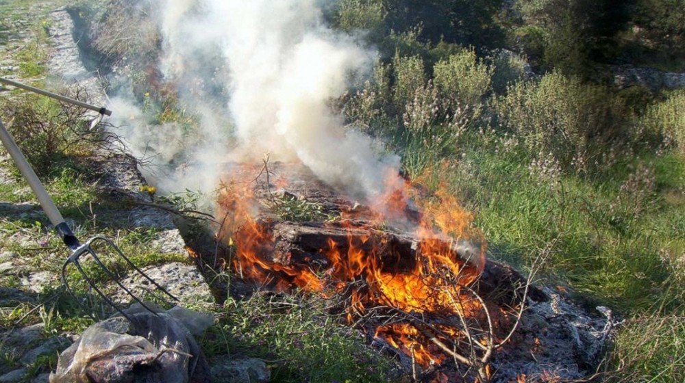 ΔΡΟΣΙΑ ΧΑΛΚΙΔΑ: Πρόστιμο γιατί έβαλε φωτιά στα κλαδιά ελιάς μετά το κλάδεμα