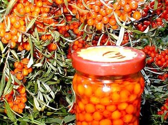 Ενημέρωση για καινοτόμες καλλιέργειες