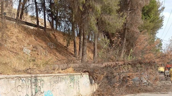 ΛΑΜΨΑΚΟΣ: Ο ΔΕΔΔΗΕ κόβει το ρεύμα για εργασίες καθαρισμού