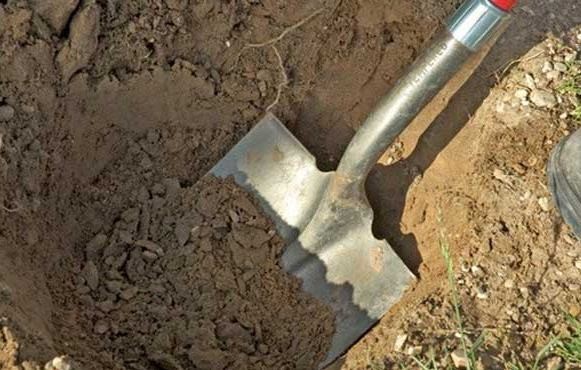 Συνελήφθησαν με τα φτυάρια στα χέρια την ώρα που έψαχναν για λίρες