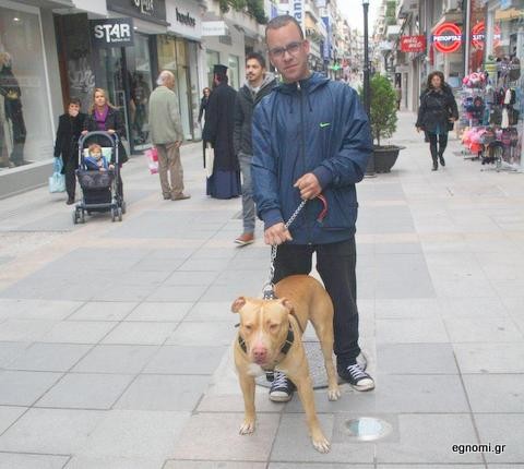 Ο Πλάτωνας με το σοφιστικές στυλ και τον ωραίο σκύλο