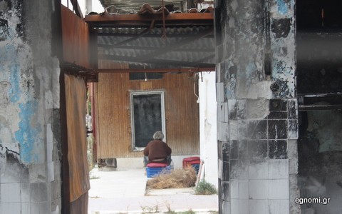 Ξέφραγο αμπέλι η παλιά Αγορά της Χαλκίδας