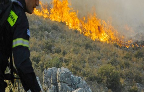 Ξέσπασε πυρκαγιά κοντά στο χωριό Φαράκλα