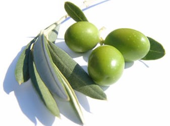 Χρυσάφι η ελιά