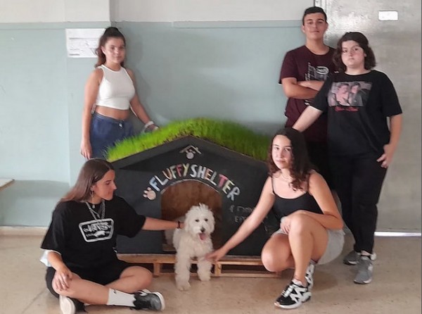 ΕΡΕΤΡΙΑ: Βραβείο σε 9 μαθητές του Γυμνασίου για πρωτότυπη επιχειρηματική ιδέα