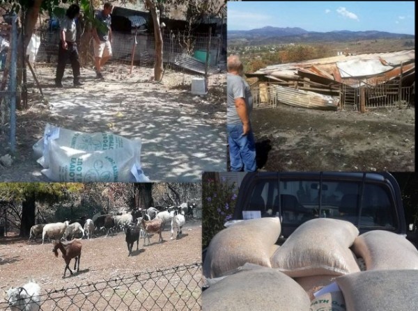 ΦΩΤΙΑ ΕΥΒΟΙΑ: Προσφορά αλληλεγγύης από τους εξωτερικούς φρουρούς της Φυλακής Χαλκίδας