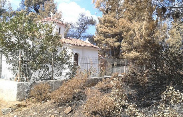 Η γιορτή του Αγίου Θεοδοσίου στο πυρόπληκτο μοναστήρι του Αγίου Νικολάου Λίμνης