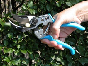 Λαθροκυνηγός κάρφωσε με ψαλίδι θηροφύλακα