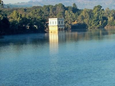 Νέα πυρκαγιά στον Μαραθώνα