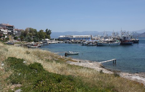 XAΛKIΔA: Στη θάλασσα κατέληξαν οι βόθροι