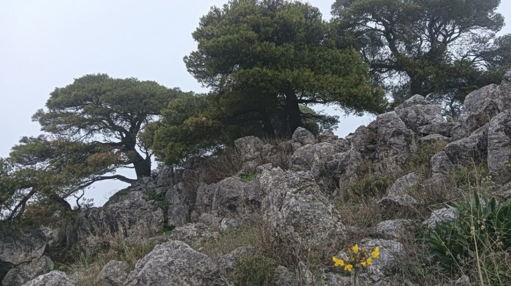 Εξόρμηση του Σιδερίτη στο ιδιαίτερο βουνό της Κλεφτολούτσας