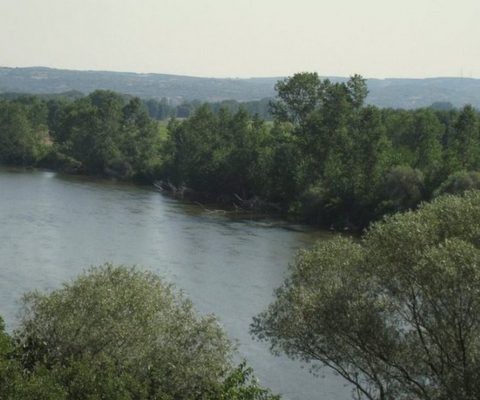 ΕΓΚΛΗΜΑ ΣΤΟΝ ΕΒΡΟ: Αγρια μαχαιρωμένες και δεμένες οι τρεις γυναίκες