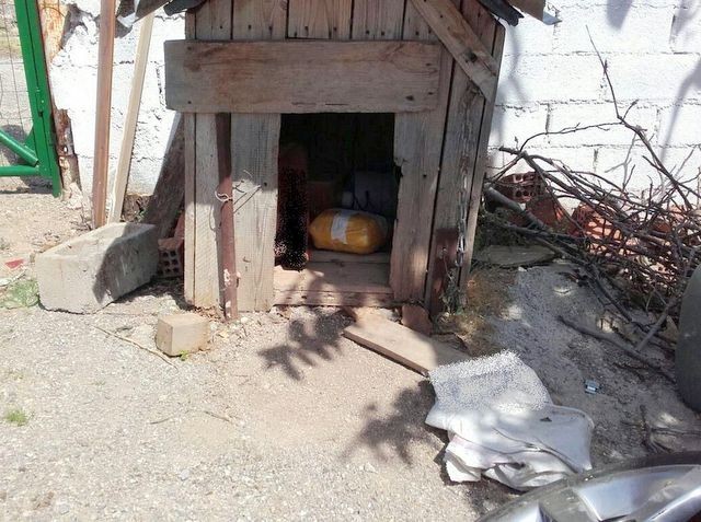 Έκρυβαν τα ναρκωτικά στο σπιτάκι του σκύλου (φωτό)