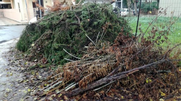 ΚΑΤΑΓΓΕΛΙΑ: Απαράδεκτη πράξη επιβολής προστίμου σε κάτοικο του Δήμου Ιστιαίας – Αιδηψού