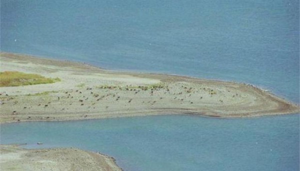 25χρονη φοιτήτρια βρήκε τραγικό θάνατο