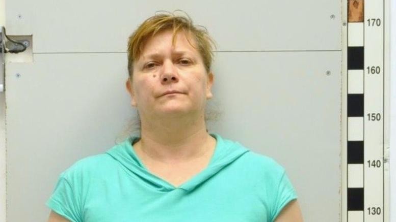 Αυτή είναι η πανούργα οικιακή βοηθός