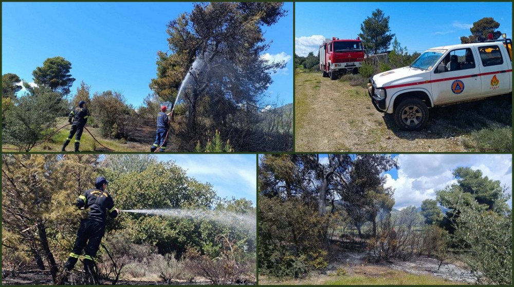 ΕΡΕΤΡΙΑ: Συναγερμός για πυρκαγιά στον Πράσινο Λόφο