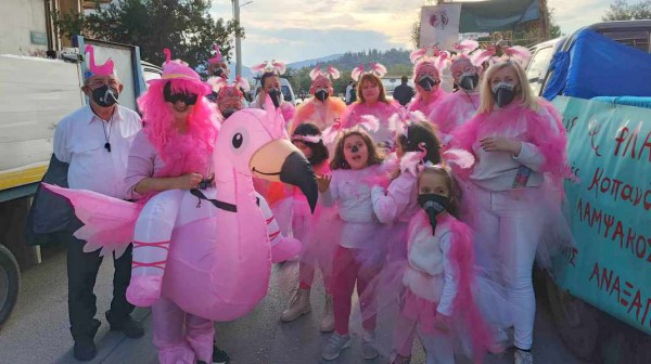 ΣΥΛΛΟΓΟΣ ΑΝΑΞΑΓΟΡΑΣ ΛΑΜΨΑΚΟΥ: Ντύθηκαν φλαμίνγκο και πέρασαν μηνύματα στο καρναβάλι της Χαλκίδας