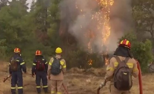 ΦΩΤΙΑ ΒΟΡΕΙΑ ΕΥΒΟΙΑ ΚΕΧΡΙΕΣ: Η μάχη των πυροσβεστών με τις φλόγες (VIDEO)