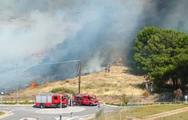 ΧΑΛΚΙΔΑ - ΚΑΤΑΓΓΕΛΛΙΑ: Τεράστιες οι ευθύνες της Πολιτείας για την φωτιά δίπλα στο Νοσοκομείο