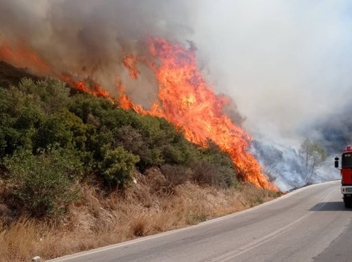 Άρπαξε φωτιά σε δασική έκταση στα Βάγια Βοιωτίας
