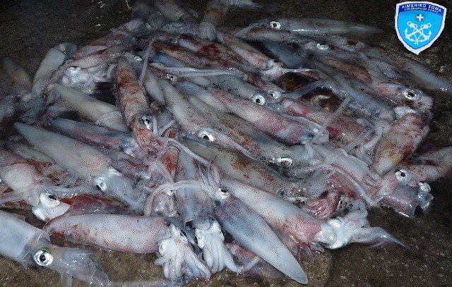 Ψάρευαν παράνομα θράψαλα και καλαμάρια στη Χιλιαδού και στα Μεσοχώρια