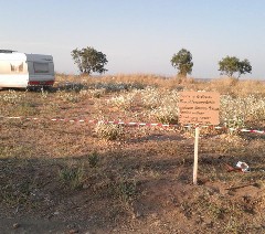 Έφραξαν τους θαλασόκρινους στην παραλία της Κρύας Βρύσης