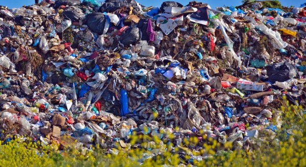 ΕΥΒΟΙΑ: Σε ποιούς δήμους αυξήθηκε η παραγωγή σκουπιδιών