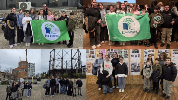 Το 20ο Δημοτικό Σχολείο Χαλκίδας  σήκωσε την Πράσινη Σημαία