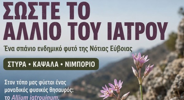 ΚΑΡΥΣΤΙΑ: Καμπάνια για να σωθεί σπάνιο ενδημικό φυτό