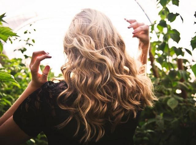 ΔΑΦΝΕΛΑΙΟ: Το ελιξίριο ζωής των ...μαλλιών σας!