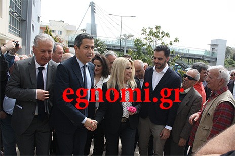 ΧΑΛΚΙΔΑ: Επίθεση Γεννηματά στην ...παρέα του Μαξίμου
