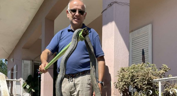 ΠΛΗΜΜΥΡΕΣ: Τεράστιο φίδι 2,5 μέτρων τρύπωσε σε σπίτι στον Παλαμά Καρδίτσας