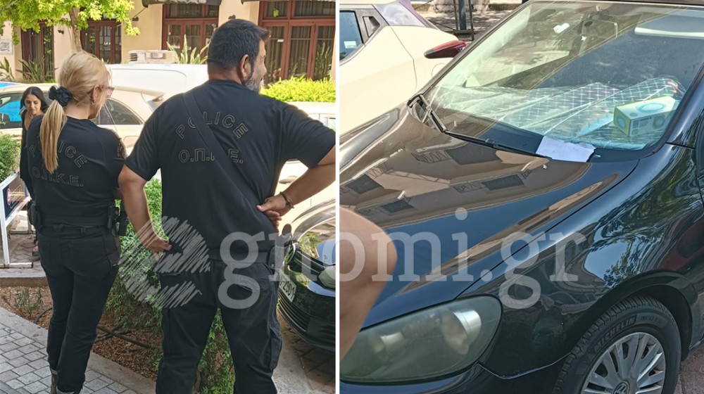 ΧΑΛΚΙΔΑ: Γατάκι εγκλωβίστηκε σε αμάξι και εκλιπαρεί για βοήθεια