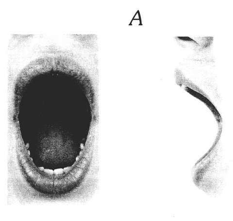Μαθήματα ορθοφωνίας με λυρική σοπράνο