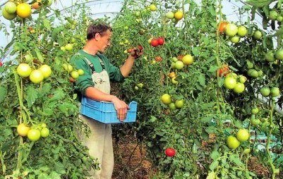 Νέοι αγρότες παρουσιάζουν τη δουλειά τους