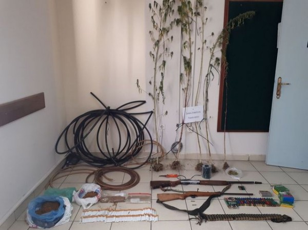 Φύτεψαν δενδρύλλια χασίς σε χωράφι δύο μεσήλικες (pics)