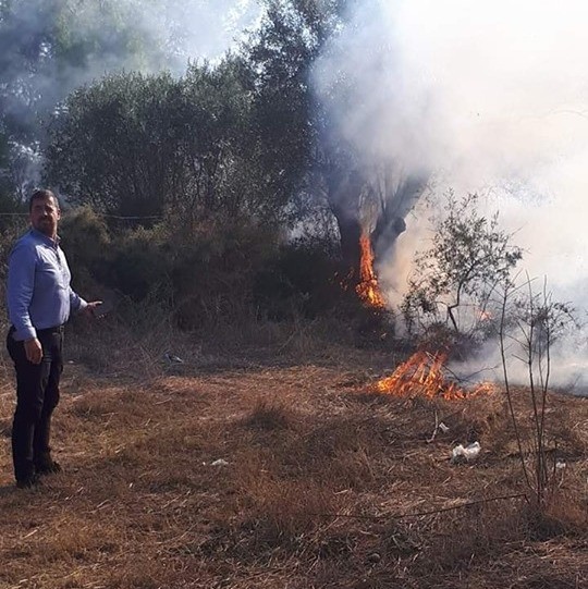 ΔΡΟΣΙΑ ΧΑΛΚΙΔΑΣ: Άρπαξε φωτιά μέσα σε χωράφια με ελιές σε κατοικημένη περιοχή